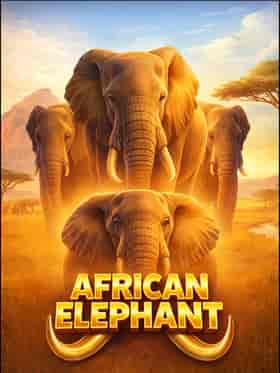 pragmaticplay/african-elephant