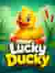 Lucky Ducky