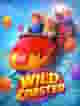Wild Coaster
