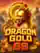 Dragon Gold 88