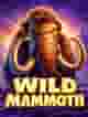 Wild Mammoth